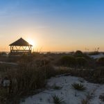 Edisto Continues the “Comeback” and Fills the Calendar with Spring Events